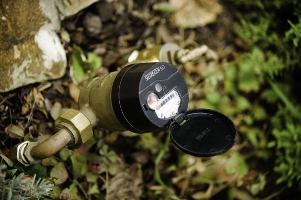 A water meter, attached to bronze piping, positioned amongst some foliage and a stone wall.